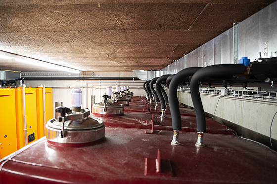 IMG-Page-CavesVins_560x375-1